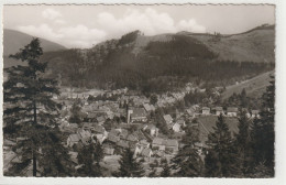 Lautenthal Im Oberharz, Langelsheim, Niedersachsen - Langelsheim