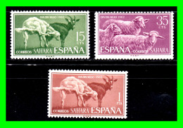 ESPAÑA COLONIAS ESPAÑOLAS ( SAHARA ESPAÑOL AFRICA ) SERIE DE SELLOS AÑO 1962 - DIA DEL SELLO - NUEVOS - - Sahara Español