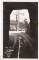 South Dakota A View From A Tunnel On The Needles Road Real Photo - Other & Unclassified