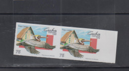 BIRDS - CUBA - 1994- PELICANS 75C IMPERFORATE PAIR MINT NEVER HINGED - Pelícanos