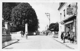 41-CHAUMONT-SUR-LOIRE- ENTREE DU CHÂTEAU ET GRANDE RUE - Autres & Non Classés