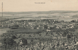 Vic Sur Seille * Vue Panoramique De La Ville - Vic Sur Seille