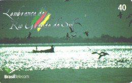 Brazil:Brasil:Used Phonecard, Brasil Telecom, 40 Units, Birds And Boat, 2003 - Brasilien