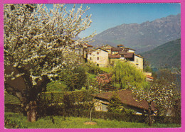 290149 / Switzerland - TI Ticino - Vico Morcote Tessin , Mountain Tree House PC Photo Viliger Suisse Schweiz Zwitserland - Morcote