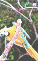 Brazil:Brasil:Used Phonecard, Brasil Telecom, 40 Units, Bird, Parrot, Ara Ararauna, 2003 - Brasilien