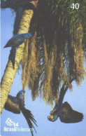 Brazil:Brasil:Used Phonecard, Brasil Telecom, 40 Units, Bird, Parrots, 2003 - Brasilien