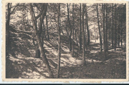 Kalmthout - Calmpthout - In De Bossen - 1958 - Kalmthout