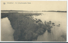 Kalmthout - Calmpthout - De Calmpthoutsche Heide - Kalmthout