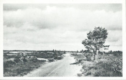 Kalmthout - Calmpthout - Kalmthoutse-Heide - Les Bruyères - Kalmthout