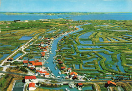 Ile D'oléron * Le Port Ostréicole D'ors Et Ses Claires * Vue Aérienne * Ostréiculture - Ile D'Oléron