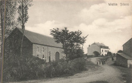 Belgique - Wellin - Tribois - Edit. Vve J. Banneux - Animé -  Carte Postale Ancienne - Neufchâteau