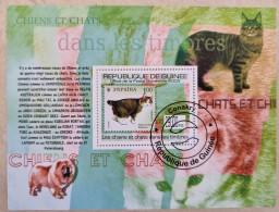 GUINEE Chats, Chat, Cat, Cats, Gato, Gatos, Chiens, Chien, Yvert BF 1042 Used, Oblitéré - Katten