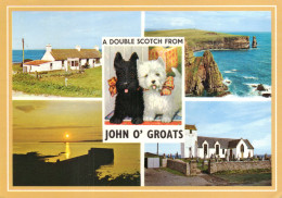 Double Scotch From John O’Groats, Caithness, Scotland. Multiview - Caithness