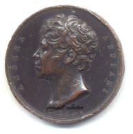 ANDREA APPIANI EREZIONE MONUMENTO BRERA 1826 MEDAGLIA MANFREDINI - Professionnels/De Société