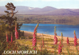 Loch Morlich And The Cairngorms - Inverness-shire