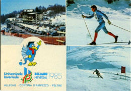 UNIVERSIADE INVERNALE  BELLUNO NEVEGAL 1985 Alleghe Cortina Feltre  Sci Ski - Sports D'hiver