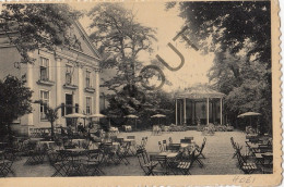 Postkaart/Carte Postale - Hoei - Café De L'Harmonie - Goffin-Marchot (C3041) - Huy