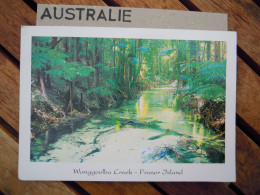 Australia Australie Wanggoolba Creek - Fraser Island - Used - Other & Unclassified