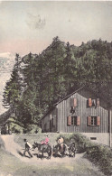 FRANCE - 74 - CHAMONIX - Balade En âne Au Pied D'un Chalet - Carte Postale Ancienne - Chamonix-Mont-Blanc