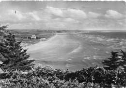 Saint Nic Pentrez            29        Plage Dite  La Lieue De Grève    10x 15     (voir Scan) - Autres & Non Classés