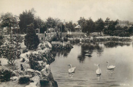 Postcard United Kingdom England Devon Paignton Victoria Park - Paignton