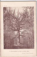 Conches (Eure 27) Le Chêne-chandelier De La Forêt De Conches (Eure) - Photographié Le 10 Avril 1894 La Neuve-Lyre - Autres Plans