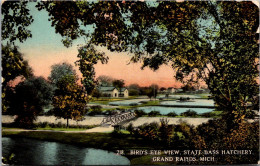 Michigan Grand Rapids Birds Eye View State Fish Hatchery 1914 Curteich - Grand Rapids