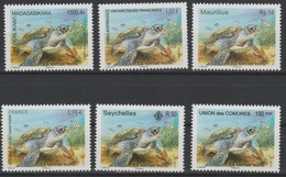La Tortue Verte Green Turtle Schildkröte 2014 Joint Issue Faune Fauna Madagascar Seychelles France Comores MNH 6 Val. ** - Schildkröten