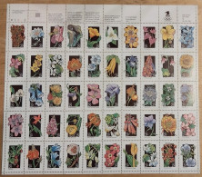 USA 1992 Wildflowers.  Scott No. 2647-2696a Pane Of 50 Postfris MNH** - Fogli Completi