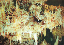 LES EYZIES - LA GROTTE DU GRAND ROCA LAUGERIE BASSE - LE BLANC DE CORAIL - Les Eyzies