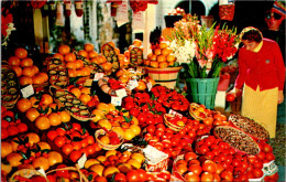 Florida Sarasota Tropical Fruit Shippers Display Of Tropical Fruit - Sarasota