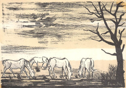 GF-EN CAMARGUE-13-Bouches-du-Rhône-Chevaux-Cheval-Lithographie De SANDOR-FORMAT 10 X 15 - Sonstige & Ohne Zuordnung