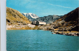 ( P 32) Suisse - Hospice Du Saint Bernard / Ospizio - Santé