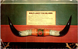 World's Largest Texas Bull Horns Commercial Hotel Elko Nevada 1961 - Taureaux