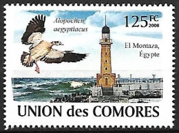 Comores - Comoro Islands - MNH ** 2008 :    Lighthouses And Birds :  Egyptian Goose  -  Alopochen Aegyptiaca - Geese