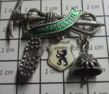 DIV23 Pin's Pins / Beau Et Rare / SPORTS / TRES GRAND PIN'S EN RELIEF MONTAGNE ALPINISME PIOLET CHAPEAU APPENZELL - Alpinismo, Arrampicata