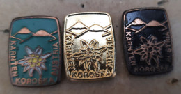 Karnten Koroska Austria Edelweiss Mountaneering Alpinism,  Slovenia Ex Yugoslavia Pins - Alpinisme