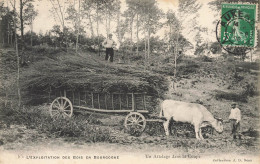 Yonne * N°5 L'exploitation Des Bois En Bourgogne * Un Attelage Dans La Coupe * Attelage Boeuf Métier * 1908 - Sonstige & Ohne Zuordnung