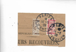 PARIS Timbre Taxe Sur Fragment TIMBRES COUPES Taxe N°29 + Taxe N° 33 1909    ...G - Briefe U. Dokumente