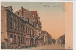 BITBURG TRIERERSTRASSE 1919 - Bitburg