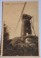 @J@  -  OELEGEM  -  De Molen   -  Zie / Voir Scan's - Ranst