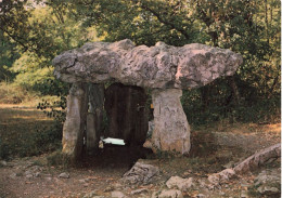 Le Mas D'azil * 2 Cp * Le Dolmen Du Cap Del Pouech * Menhir Pierre Monolithe - Andere & Zonder Classificatie