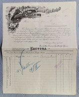 FATTURA STEINKOHLEN CONSUM GESELLSCHALT GLARUS ANNO 1901 SVIZZERA - Switzerland