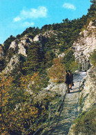 1 AK Österreich / Niederösterreich * Der Felsenweg Bei Baden Bei Wien * - Baden Bei Wien