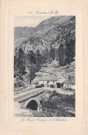 FRANCE - 65 - CAUTERETS - Le Pont D'Espagne Et L'Hôtellerie - Carte Postale Ancienne - Cauterets