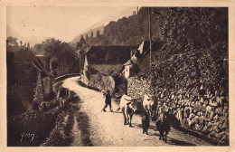 FRANCE - 65 - CAUTERETS - Route De Saint Savin - Carte Postale Ancienne - Cauterets