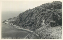 Postcard UK England Isle Of Wight > Shanklin Luccombe Chine - Shanklin