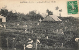 Gargan * Le Jardin Perdu Lilois * Labyrinthe - Livry Gargan