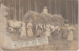 KIRCHHEIM In SCHWABEN - Une Scène De Moisson  ( Carte Photo ) En L'état ( Rare ) - Sonstige & Ohne Zuordnung