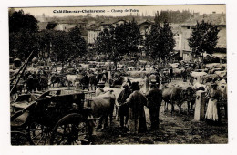 AIN  /  CHÂTILLON-sur-CHALARONNE  /  CHAMP  DE  FOIRE  ( Vaches, Scène De Transactions Entre Maquignons, MAQUIGNONNAGE ) - Châtillon-sur-Chalaronne